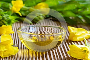 A bowl of evening primrose oil with fresh blooming evening primrose plant