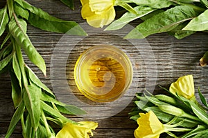 A bowl of evening primrose oil with fresh blooming evening primrose, top view