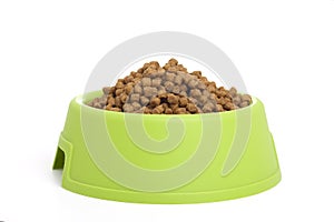 Bowl filled with animal food