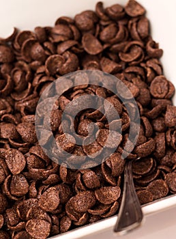 Bowl of flakes with spoon