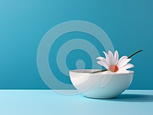 bowl and flower on blue background