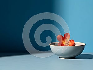 bowl and flower on blue background