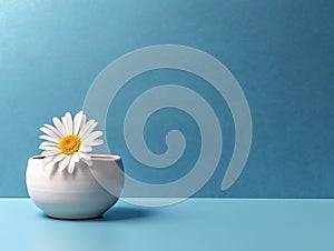 bowl and flower on blue background