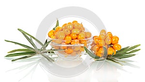 Bowl fresh berries sea buckthorn, bunch isolated on white background.