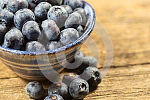 Bowl of Fresh Blueberries, Nutritious Fruit in Small Bowl