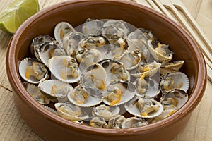 Bowl with fresh cooked common cockles