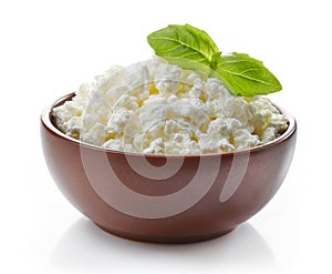 Bowl of fresh cottage cheese