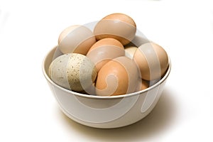 Bowl of fresh eggs