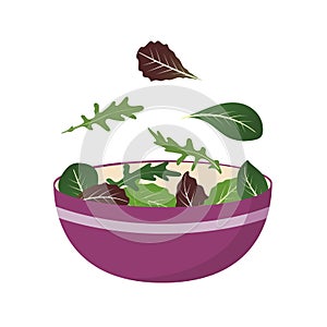 Bowl of fresh mix of salad leaves. Arugula, spinach and lettuce leaf. Vector illustration set in flat style.