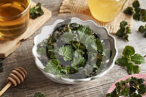 A bowl of fresh nettles harvested in early spring, with a cup of herbal tea