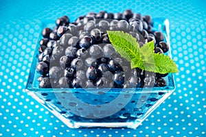 Bowl of fresh picked blueberries