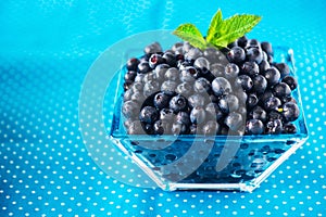 Bowl of fresh picked blueberries