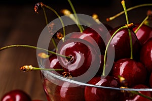 Bowl with fresh red Cherries.