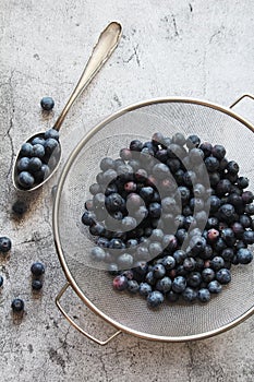 A bowl with fresh ripe blueberry