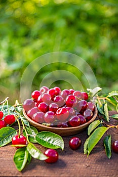 Bowl of fresh ripe cherries