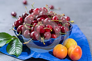 Bowl with fresh ripe sour kriek cherry berry