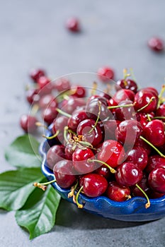 Bowl with fresh ripe sour kriek cherry berry