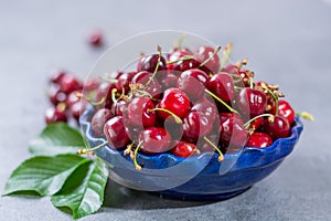 Bowl with fresh ripe sour kriek cherry berry