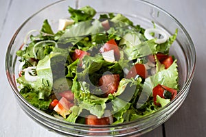 Bowl of fresh salad with tomato and cheese onion