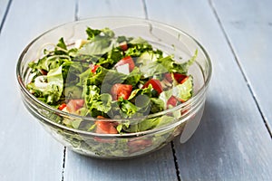 Bowl of fresh salad with tomato and cheese onion