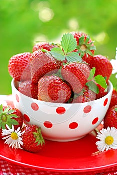 Bowl of fresh strawberries