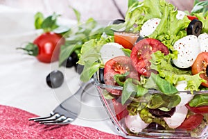 Bowl with fresh Tomato-Mozzarella Salad