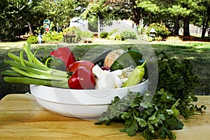 Bowl of Fresh Vegetables