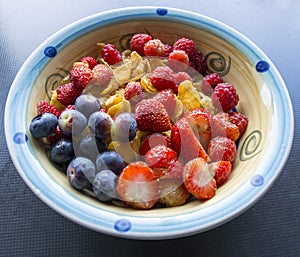A Bowl of fruit and Cereal