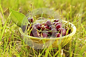 A bowl full of fresh cherries