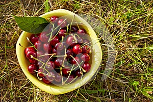 A bowl full of fresh cherries