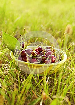 A bowl full of fresh cherries