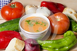 Bowl of gazpacho