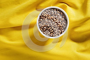 Bowl with grains of spelt