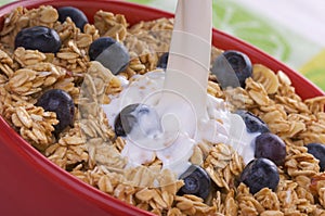 Bowl of Granola and Blueberries and Milk