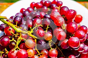 A bowl of grapes is shown on a green background photo