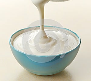 Bowl of greek yogurt