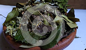 a bowl of herbal medicine (dry leaves)