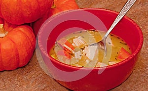 Bowl of Homemade Chicken Noodle Soup