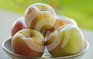 Bowl of Honey Crisp Apples