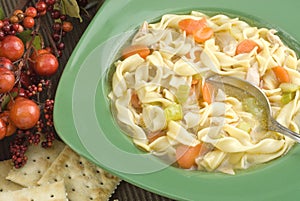 Bowl of Hot Homemade Chicken Noodle Soup