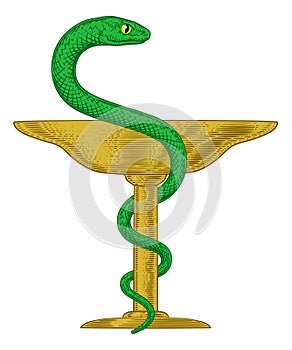 Bowl of Hygieia Snake Medical Pharmacy Sign photo