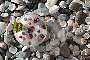 Bowl of ice cream with berries and mint leaves, top view with copy space