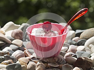 Bowl of ice cream with raspberry and spoon