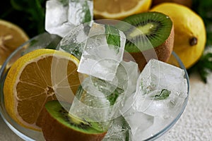 a bowl with ice and lemon on a summer day