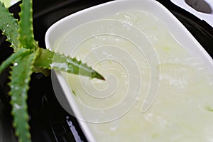 In the bowl the juice of the aloe vera photo