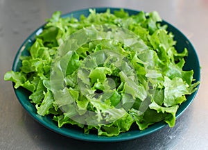 Bowl of lettuce