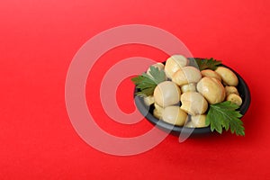 Bowl of marinated mushrooms on red background