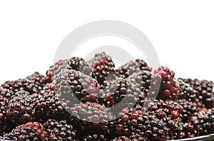 Bowl of Marionberries on white
