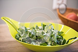 Bowl of mixed salad
