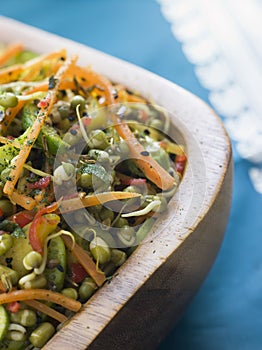 Bowl of Moong Bea Tikka Salad photo